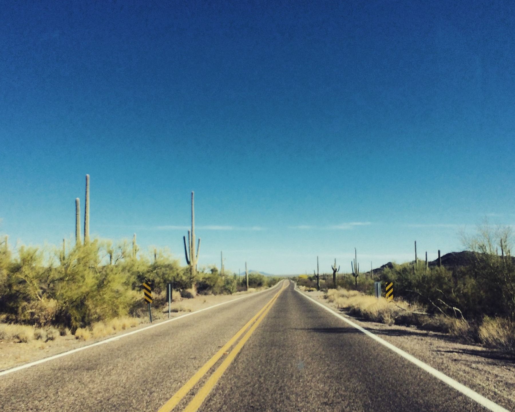 An empty desert highway lined with saguaro cacti