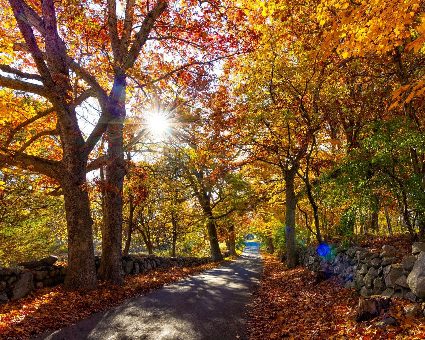 A New England road in autumn