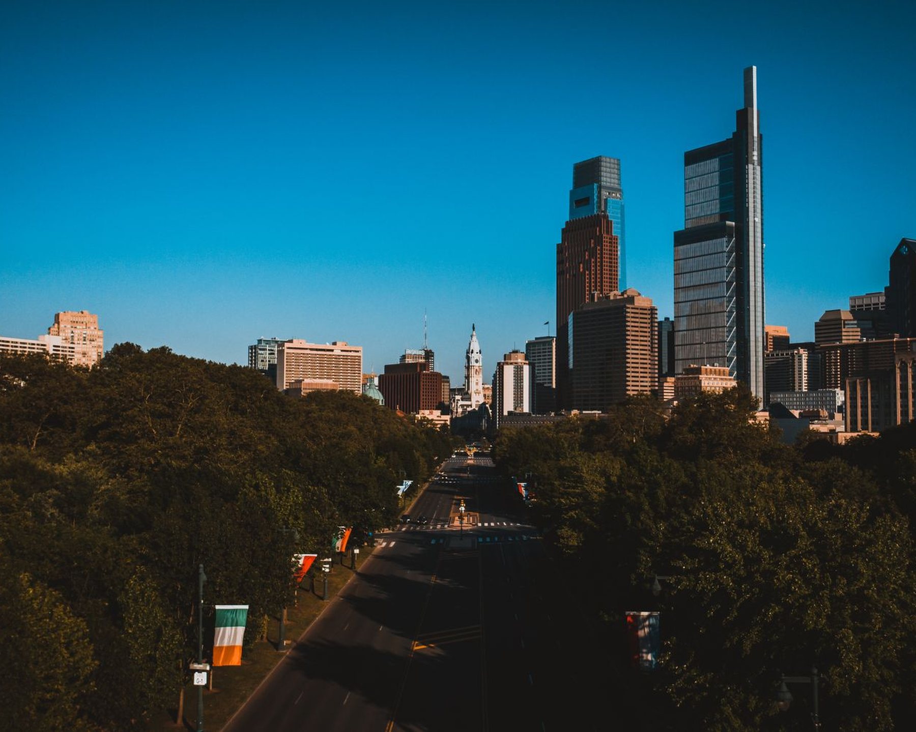 A city skyline rising above trees in the evening light